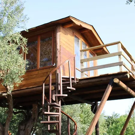 Panzió The Treehouse - Casa Sull'albero Al Golden Camp Falerna
