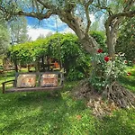 The Treehouse - Casa Sull'albero Al Golden Camp Couette-café