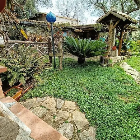 The Treehouse - Casa Sull'albero Al Golden Camp לינה וארוחת בוקר