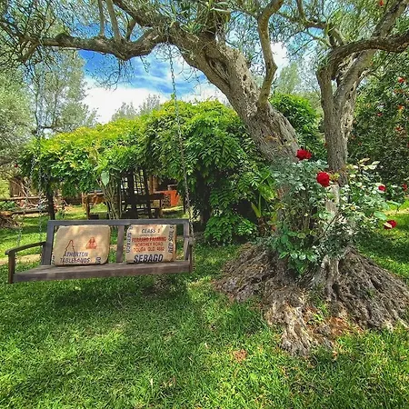 The Treehouse - Casa Sull'albero Al Golden Camp לינה וארוחת בוקר