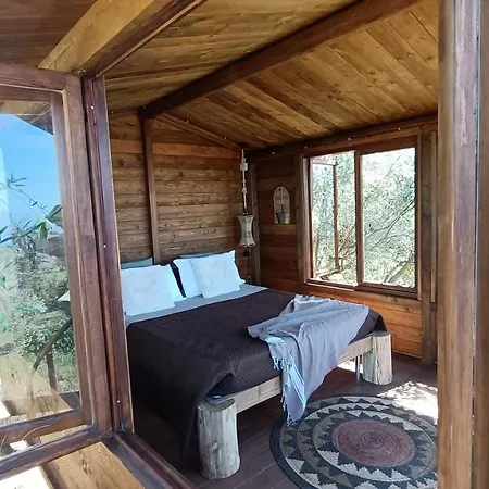 Frühstückspension The Treehouse - Casa Sull'albero Al Golden Camp Falerna