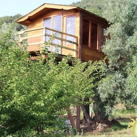 The Treehouse - Casa Sull'albero Al Golden Camp *