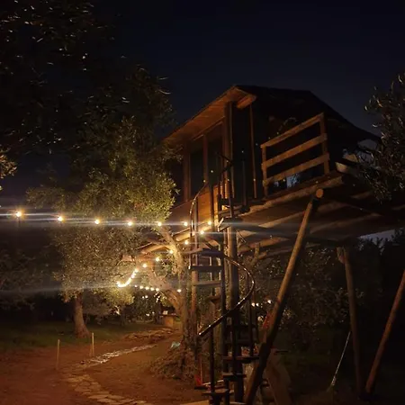 The Treehouse - Casa Sull'albero Al Golden Camp *