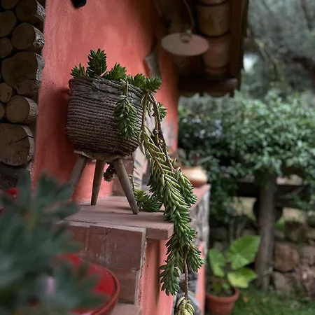 The Treehouse - Casa Sull'albero Al Golden Camp