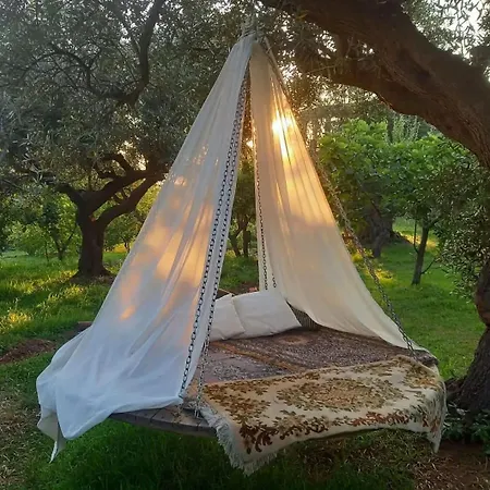 The Treehouse - Casa Sull'albero Al Golden Camp