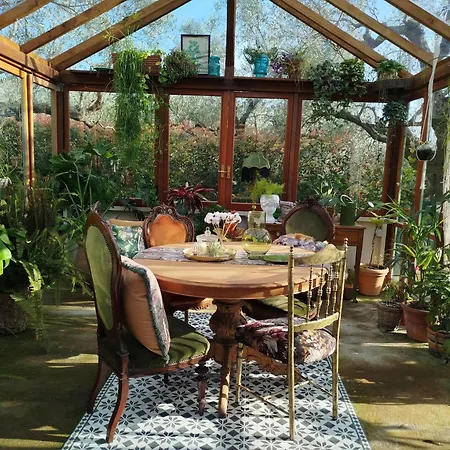 Couette-café The Treehouse - Casa Sull'albero Al Golden Camp Falerna