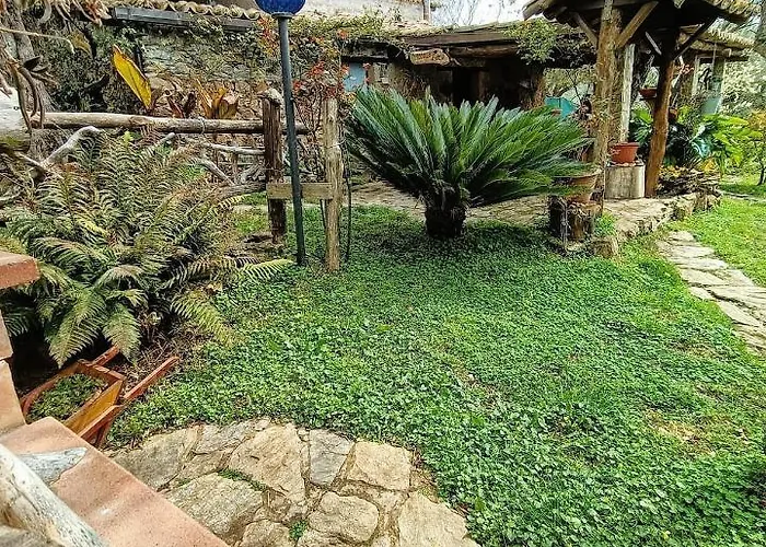 The Treehouse - Casa Sull'albero Al Golden Camp Alojamento de Acomodação e Pequeno-almoço