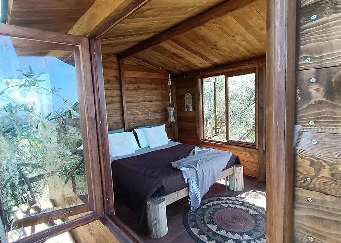 Alojamento de Acomodação e Pequeno-almoço The Treehouse - Casa Sull'albero Al Golden Camp Falerna