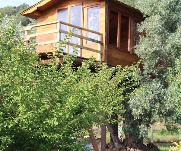 The Treehouse - Casa Sull'albero Al Golden Camp *