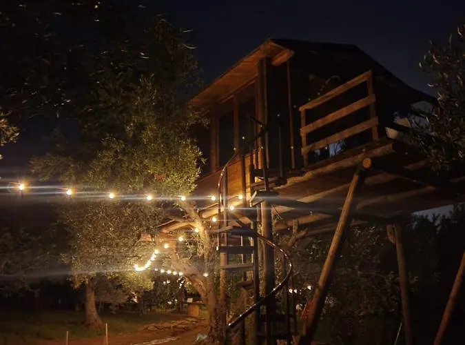 The Treehouse - Casa Sull'albero Al Golden Camp *
