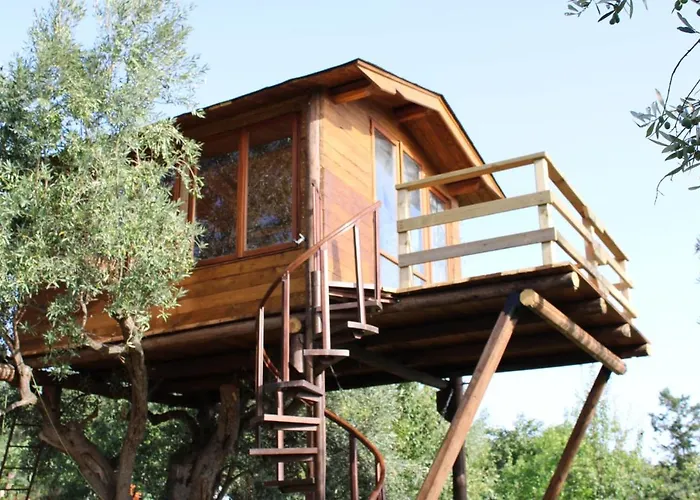 Alojamento de Acomodação e Pequeno-almoço The Treehouse - Casa Sull'albero Al Golden Camp Falerna