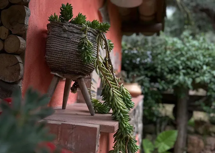 The Treehouse - Casa Sull'albero Al Golden Camp